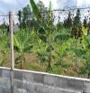 Bán đất sào mặt tiền nhựa xã Láng Lớn, Châu Đức, Bà Rịa Vũng Tàu