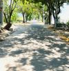 Bán lô TĐC Đất Lành đường nhựa rộng 13m song song với Phong Châu.Giá chỉ 2.25 Tỷ