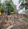 Thanh khoản nhanh lô đất đẹp .125m tại Thế Trạch -Mai Đình