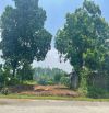 BÁN NHANH LÔ ĐẤT MẶT ĐƯỜNG QL21A THUỘC XÃ THANH CAO CÓ DT 166m2 FULL THỔ CƯ
