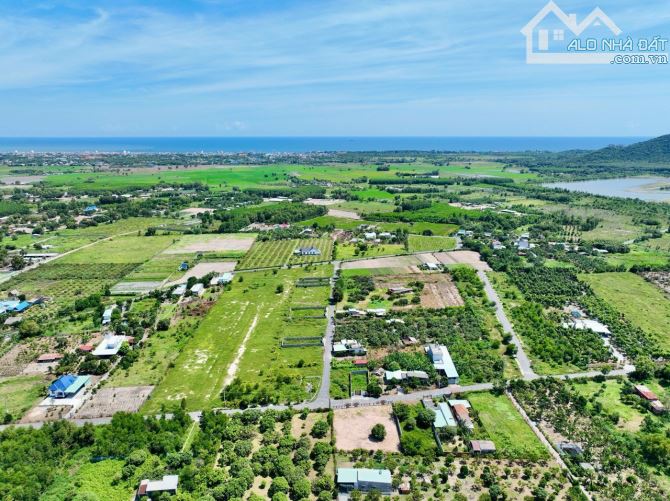 Bán Đất thi trấn phước hải - 1 mẫu 200 giá 48 tỷ - 1