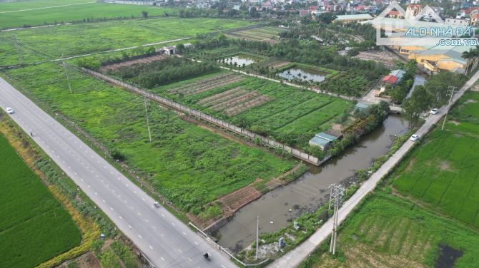 Chủ kẹt tiền cần bán gấp 22.000m2 đất trồng cây lâu năm, cây hàng năm tại Đông Hưng
