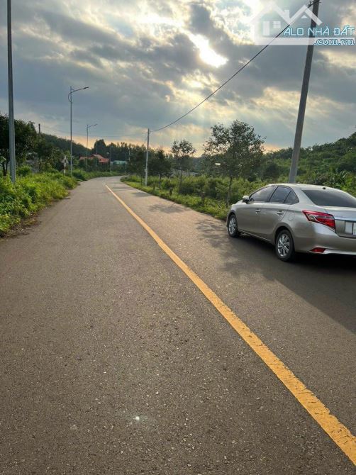 BÁN VƯỜN ĐIỀU 3.3 MẪU MẶT TIỀN ĐƯỜNG NHỰA LỚN, SẴN THỔ CƯ, GIÁ BÁN NHANH CỰC TỐT