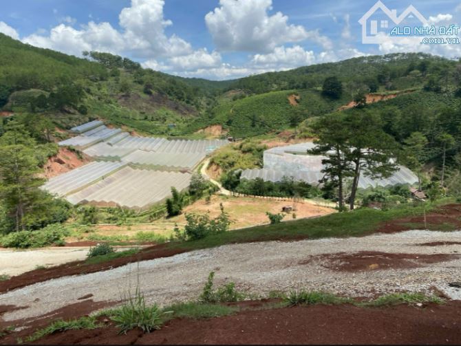 bán lô đất mặt tiền mănglin giá đầu tư view đẹp view rừng thông