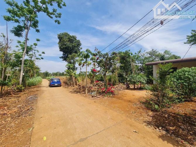 450#450#BÁN ĐẤT EA PÔK - GIÁ CHỈ 295 TRIỆU  	•	Diện tích: 5m x 38,85m 	•	Đường bê tông, qu