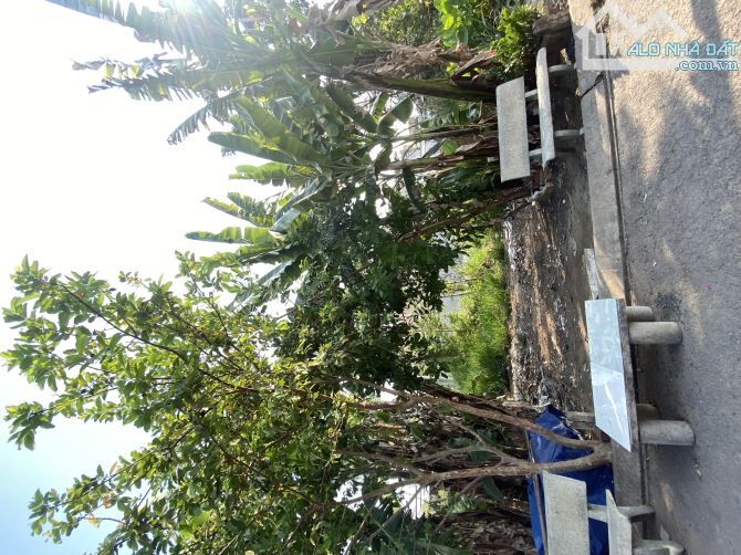 BÁN ĐẤT GẦN VINHOMES QUẬN 9, NGÃ BA NGUYỄN XIỂN, NGUYỄN VĂN TĂNG | 75m2, 4m x 19m | 3.8 tỷ