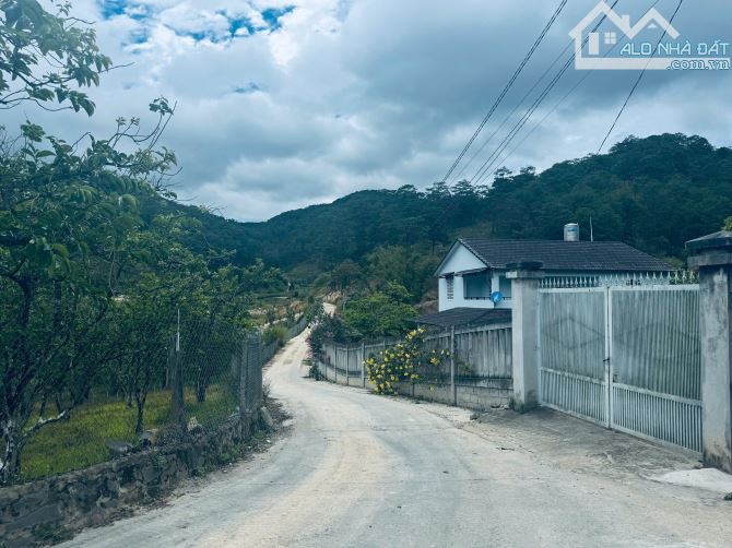 Bán đất Biệt thự Pren - P3 Đà lạt. -  340m2 - 3 tỷ 5 -  giáp thông xanh