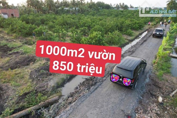 1000m2 vườn vew kênh được lên thổ 850 triệu thạnh hoà_ bến lức Long An