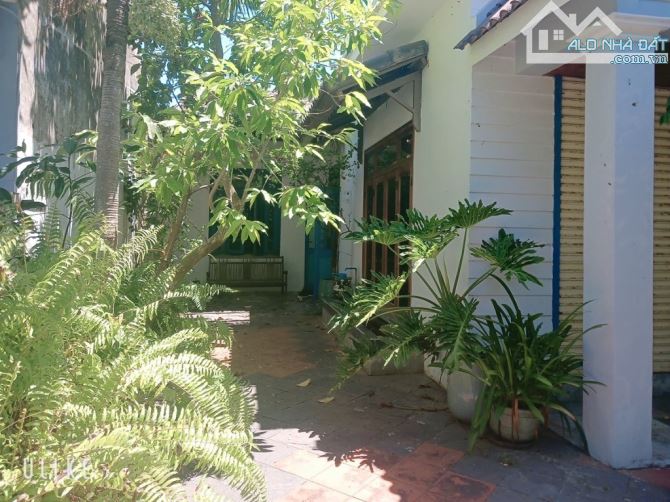 🎉🎉⛔️SẬP HẦM HOMSTAY! FULL CÔNG NĂNG⛔️