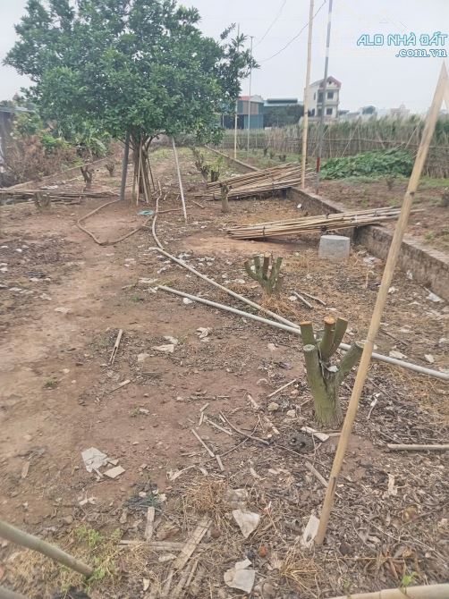 Bán 500m2 ngay khu dân cư Song Phương _ Hoài Đức