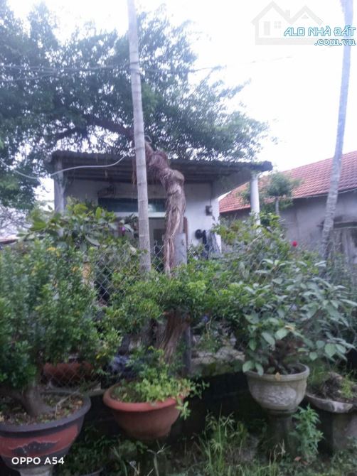 BÁN ĐẤT TẶNG NHÀ CẤP 4 – LANG XÁ CỒN, TX HƯƠNG THỦY– TP HUẾ 🚨 150m² – Ngang: 6.5m