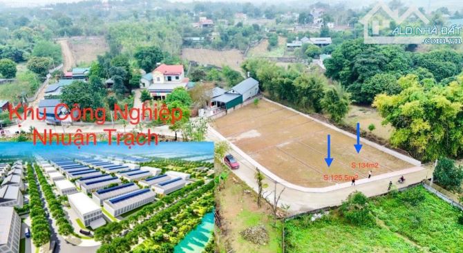 BÁN GẤP LÔ ĐẤT ĐỐI DIỆN KCN NHUẬN TRẠCH CÓ DT 134m2 (50m2 ONT) GIÁ CHỈ HƠN 1 TỶ