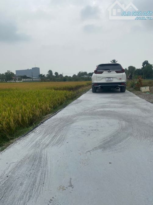 💎 ĐẤT THỔ F0 CÁCH  ĐƯỜNG NGUYỄN VĂN VỊNH VÀO 50M .DT: 5X25M GIÁ: 390TR/ LÔ - 1