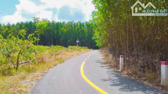 Cần bán 6.896m2 đất phủ hồng, sẵn 400m2 thổ cư, mặt tiền đường nhựa gần 100m, sát QL 55 - 1