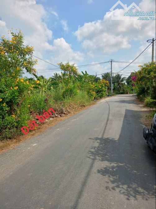 Đất Mt Huỳnh Thị Đức, P5 TP Tân An tỉnh Long An - 1