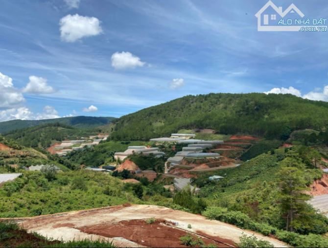 bán lô đất mặt tiền mănglin giá đầu tư view đẹp view rừng thông - 1