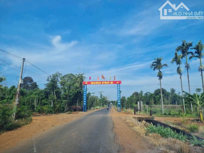 450#450#BÁN ĐẤT EA PÔK - GIÁ CHỈ 295 TRIỆU  	•	Diện tích: 5m x 38,85m 	•	Đường bê tông, qu - 1