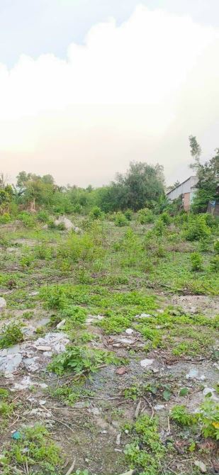 Giá 9,3 tỷ. Bán gấp 1400m mặt tiền HL9 Tân Triều Vĩnh Cữu. Có 300m thổ cư sẵn. - 1