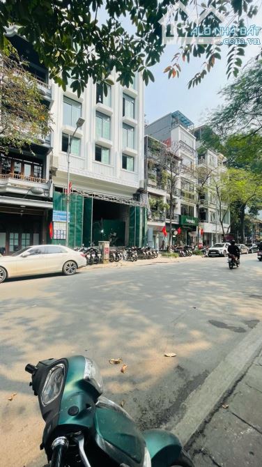 SIÊU HIẾM - BÁN NHÀ MẶT PHỐ LÕI 2 BÀ TRƯNG - GẦN VINCOM BÀ TRIỆU 342m² | MT 12m | 175 TỶ - 1