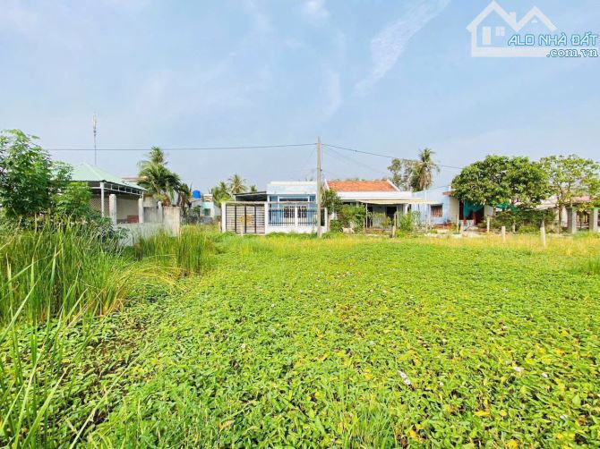 Bán nền thổ cư gần Ngã4 chợ tảo  5x24,5m Giá 475tr  Tân Trụ Long An - 1