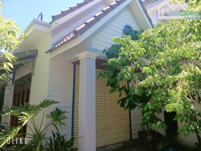 🎉🎉⛔️SẬP HẦM HOMSTAY! FULL CÔNG NĂNG⛔️ - 1