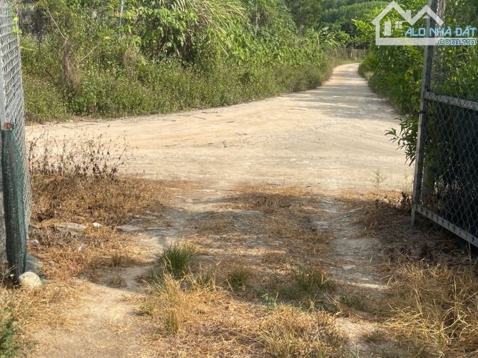 Bán đất Sông Cầu - Khánh Vĩnh đã lên mô hình Farm đang thu hoạch gần QL27C - sẵn điện nước - 13