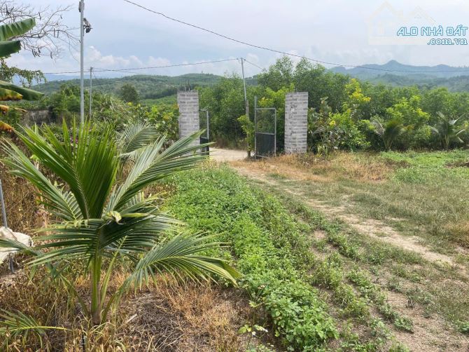 Bán đất Sông Cầu - Khánh Vĩnh đã lên mô hình Farm đang thu hoạch gần QL27C - sẵn điện nước - 14