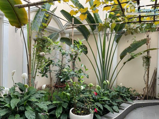 Biệt Thự Hồ Biểu Chánh Phường 11 Phú Nhuận hầm 4 tầng 620m2 giá 50 tỷ TL - 15