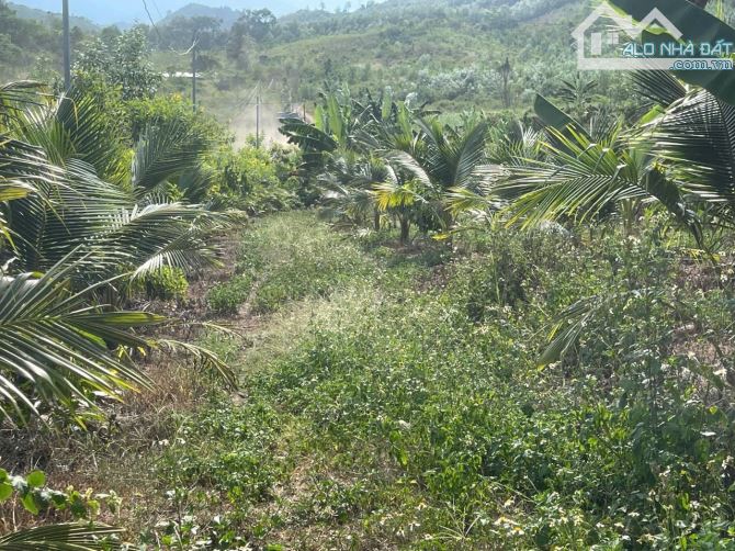Bán đất Sông Cầu - Khánh Vĩnh đã lên mô hình Farm đang thu hoạch gần QL27C - sẵn điện nước - 16