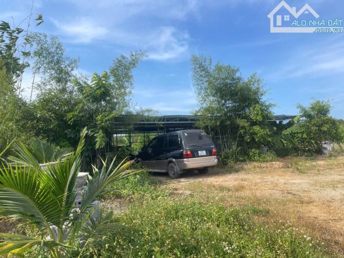 Bán đất Sông Cầu - Khánh Vĩnh đã lên mô hình Farm đang thu hoạch gần QL27C - sẵn điện nước - 17