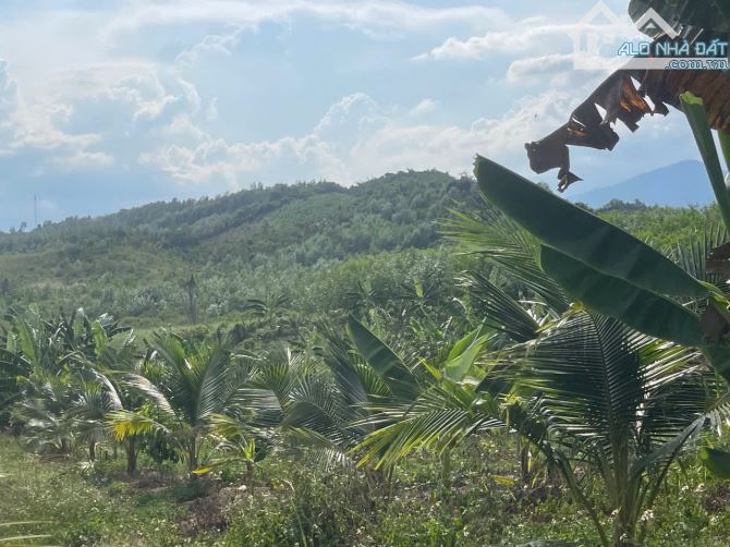 Bán đất Sông Cầu - Khánh Vĩnh đã lên mô hình Farm đang thu hoạch gần QL27C - sẵn điện nước - 20