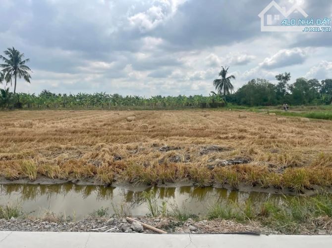 💎 ĐẤT THỔ F0 CÁCH  ĐƯỜNG NGUYỄN VĂN VỊNH VÀO 50M .DT: 5X25M GIÁ: 390TR/ LÔ - 2