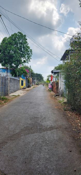 Lô này 5,5x25m tcfull 100% 🔥 Giá 725tr. Sau lưng quán cá lăn Mỹ Lan Trục chính thông khu - 2