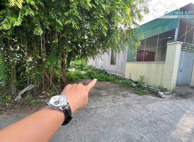 Bán đất Vinh Tân - ngõ đường Phạm Hồng Thái giá đầu tư - 2