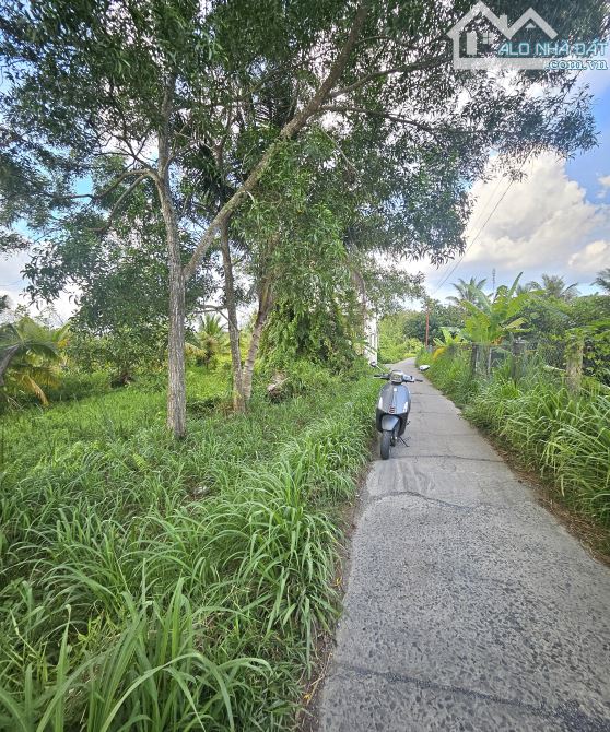 Bán đất đang trồng dừa giáp đường hương lộ 15 Phường Tân Ngãi, Vĩnh Long - 2