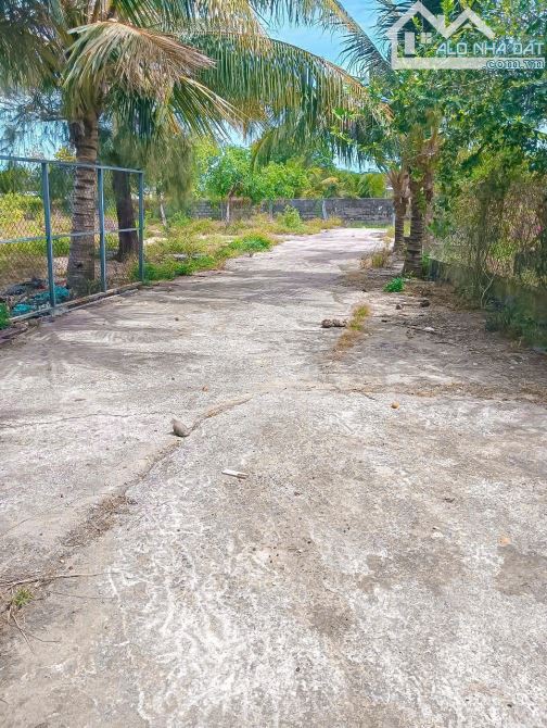 Cần bán 2.235m2 đất phủ hồng, sẵn 100m2 thổ cư, - 2