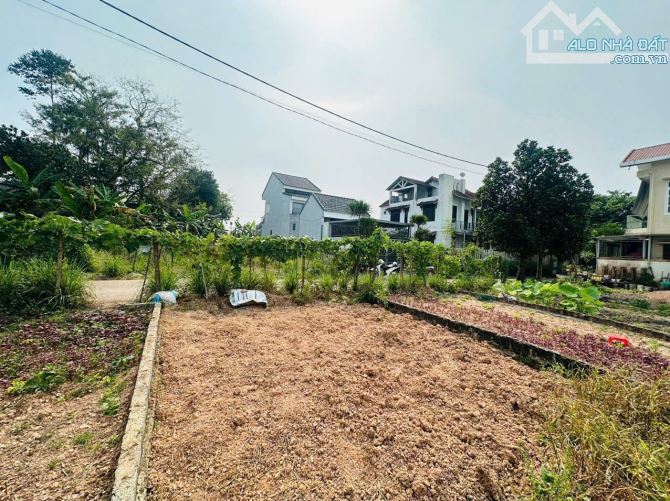 Bán đất KQH Nguyễn Trung Ngạn - Thuỷ Xuân cạnh đường Huyền Trân Công Chúa - 2