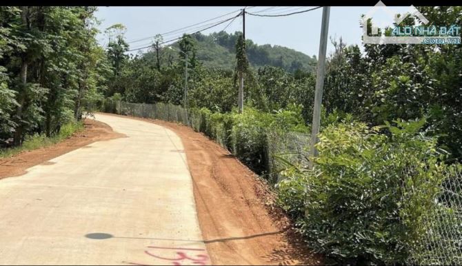 BÁN LÔ ĐẤT VƯỜN TRÁI CÂY 1000M2(16MX53M) ĐẤT NỞ HẬU 20M KHU DÂN CƯ CHỈ 820 TRIỆU - 2