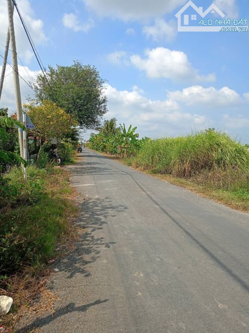 Đất Mt Huỳnh Thị Đức, P5 TP Tân An tỉnh Long An - 2