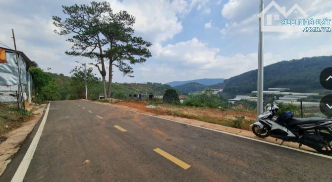 bán lô đất mặt tiền mănglin giá đầu tư view đẹp view rừng thông - 2