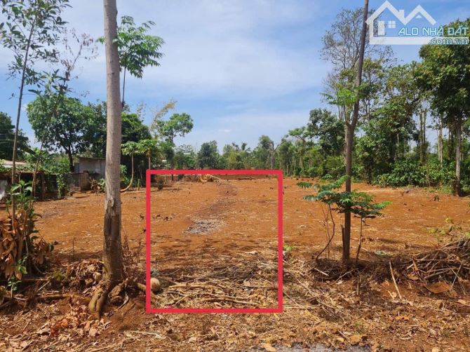 450#450#BÁN ĐẤT EA PÔK - GIÁ CHỈ 295 TRIỆU  	•	Diện tích: 5m x 38,85m 	•	Đường bê tông, qu - 2