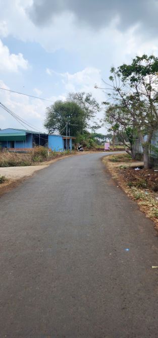 Lô này 5,5x25m tcfull 100% 🔥 Giá 725tr. Sau lưng quán cá lăn Mỹ Lan Trục chính thông khu - 3