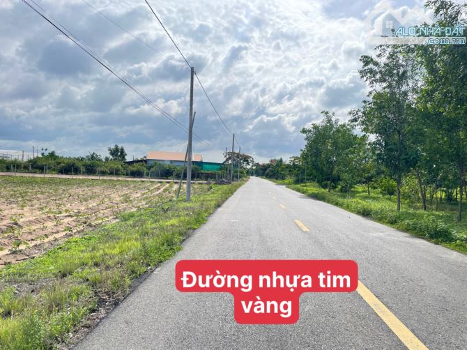 LÔ ĐẤT VIEW NÚI MINH ĐẠM - 1.800M2 SẴN 100M TC 20X90M - TT PHƯỚC HẢI , LONG ĐẤT - 3