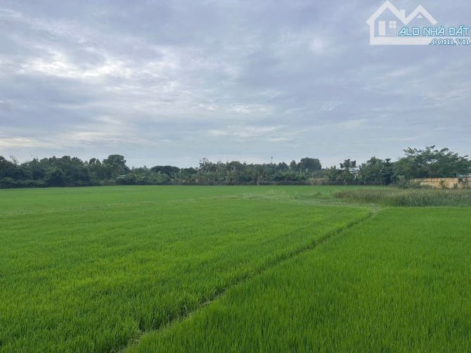 Ngang 19 met mặt tiền đường Mô Xoài phường PHƯỚC HƯNG.TP Bà Rịa- 405m2 phủ hồng-4,8Tỷ - 3