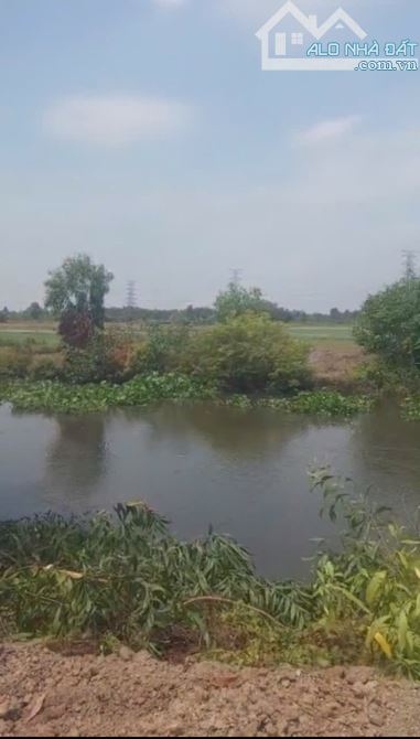 Bán đất Củ Chi, lô đất lúa đường cặp rạch Láng The, dt 3763m2, QH KDC, xã Tân Thạnh Đông - 3