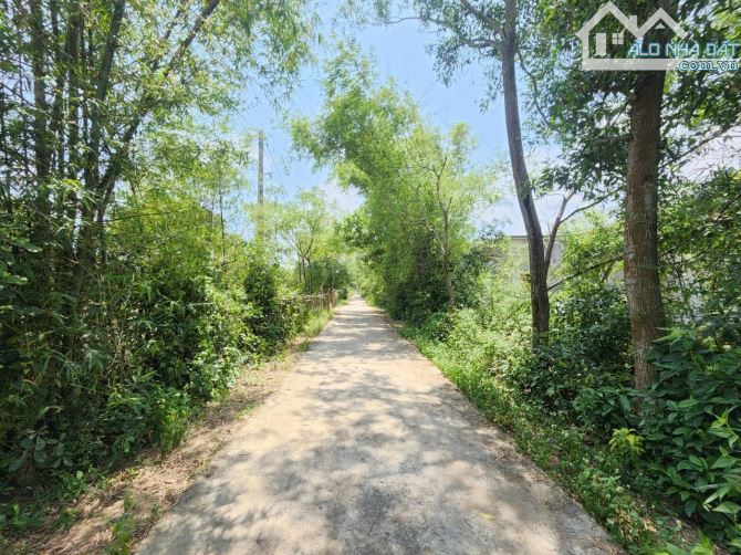 BÁN LÔ ĐẤT BIỂN GIO HẢI – CƠ HỘI ĐẦU TƯ VÀ AN CƯ LÝ TƯỞNG - 3
