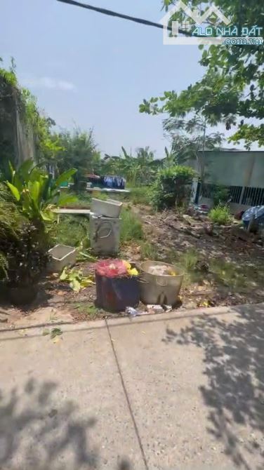 🔥 CẦN BÁN NHANH LÔ ĐẤT ĐẸP – AN THỚI ĐÔNG, CẦN GIỜ – GIÁ TỐT! 🔥 - 3