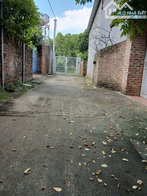Bán nhà vườn tại Sóc Sơn 1500m2 - 3