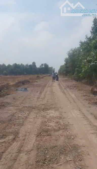 Bán đất Củ Chi, lô đất lúa đường cặp rạch Láng The, dt 3763m2, QH KDC, xã Tân Thạnh Đông - 4