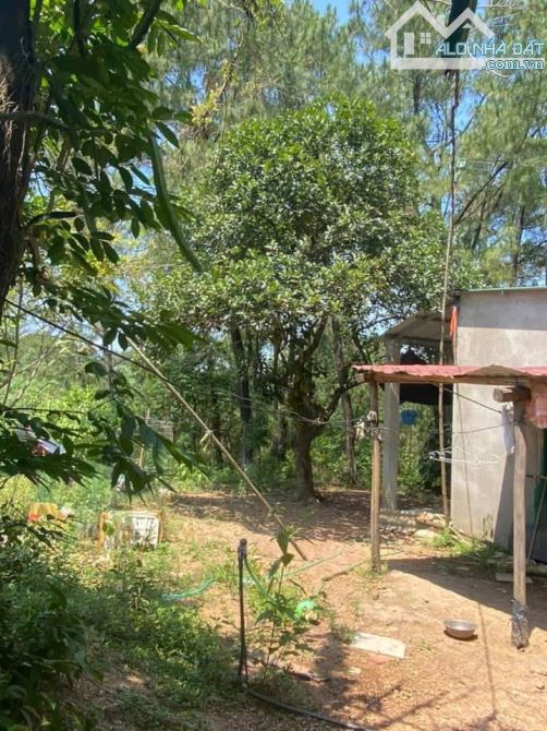 ĐẤT VƯỜN THUỶ DƯƠNG, HƯƠNG THUỶ CÓ 400M2 THỔ CƯ 2,xtr/m2 - 4